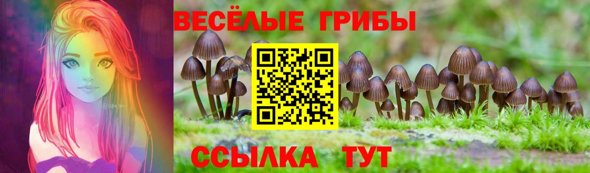 Псилоцибиновые грибы MAGIC MUSHROOMS  Вход с VPN  Шарыпово 
